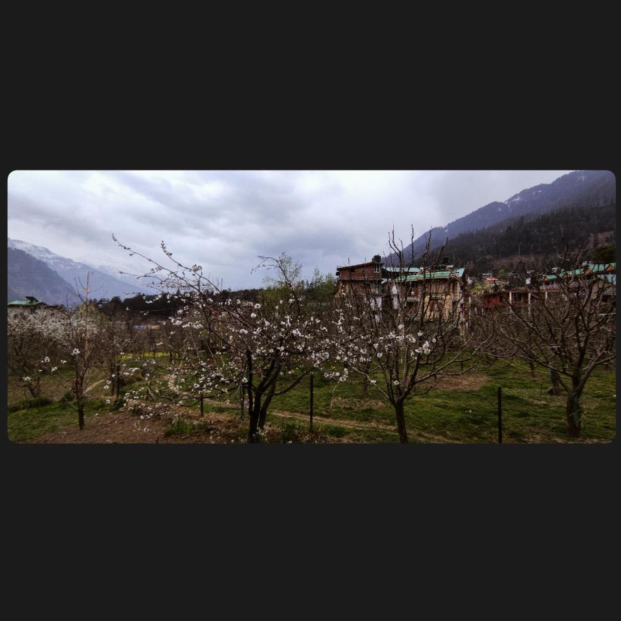 Yolo Backpackers - Manali Hostel Εξωτερικό φωτογραφία