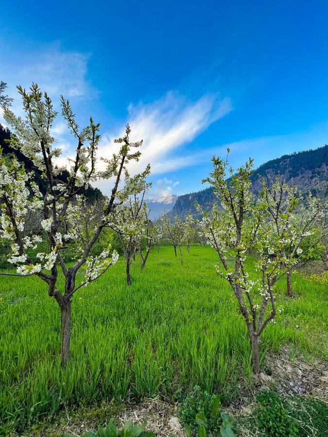 Yolo Backpackers - Manali Hostel Εξωτερικό φωτογραφία