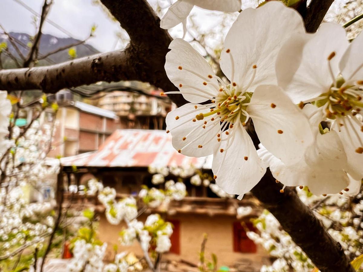 Yolo Backpackers - Manali Hostel Εξωτερικό φωτογραφία