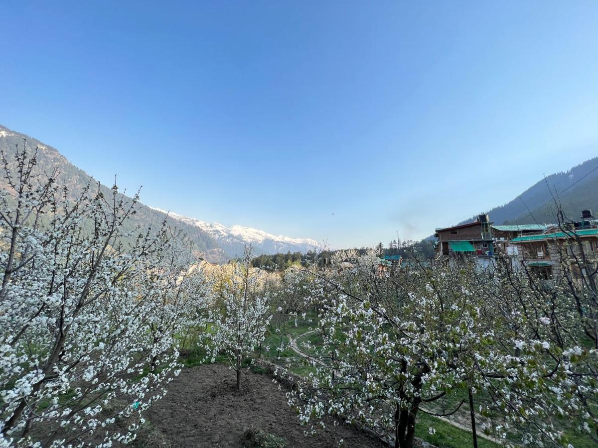 Yolo Backpackers - Manali Hostel Εξωτερικό φωτογραφία