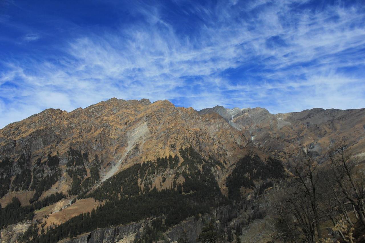 Yolo Backpackers - Manali Hostel Εξωτερικό φωτογραφία